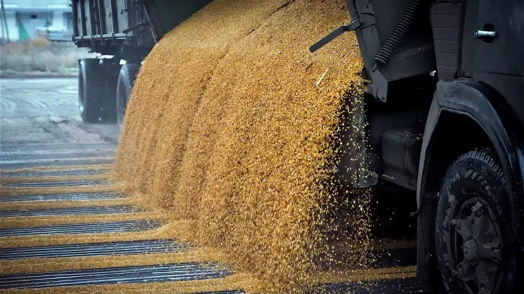 Ucrania reanuda sus exportaciones de cereales tras el regreso de Rusia al acuerdo