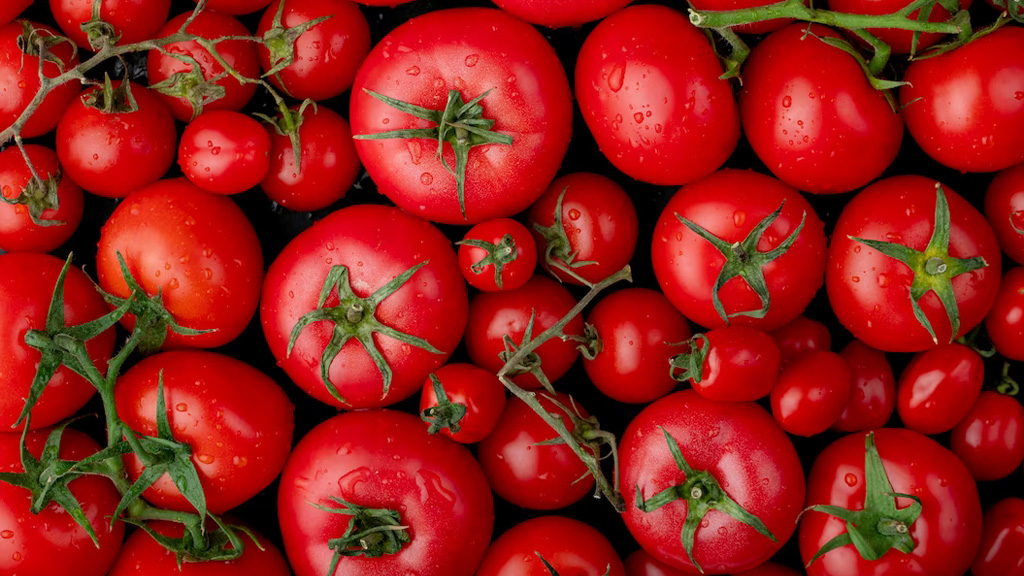 Superpeso le quita 6 mil 300 mdp de los ingresos por ventas de exportación a los tomateros